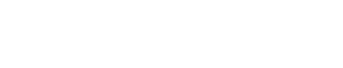 ﻿oD IDEJE DO MEDNARODNO PREPOZNANE FAKULTETE