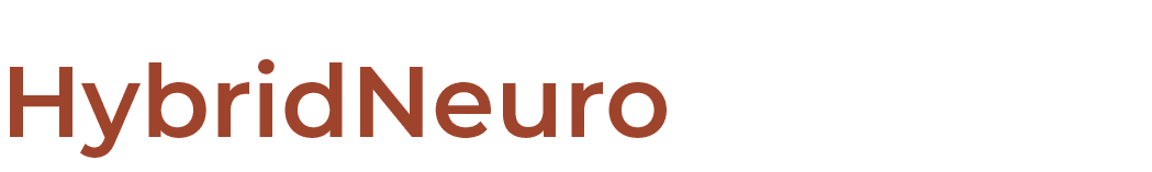 HybridNeuro 