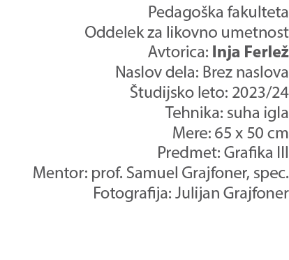 Pedago ka fakulteta Oddelek za likovno umetnost Avtorica: Inja Ferle Naslov dela: Brez naslova  tudijsko leto: 2023/...