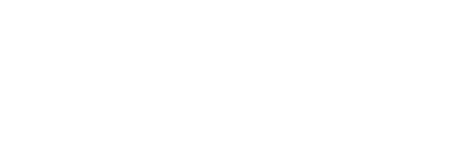 ﻿VE PROJEKTNEGA, PROBLEMSKO USMERJENEGA IN TIMSKEGA DELA NA DODIPLOMSKIH  TUDIJSKIH PROGRAMIH