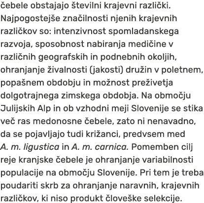  ebele obstajajo tevilni krajevni razli ki. Najpogostej e zna ilnosti njenih krajevnih razli kov so: intenzivnost sp...