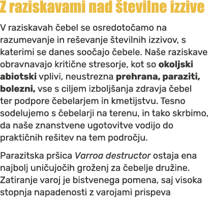 Z raziskavami nad tevilne izzive V raziskavah  ebel se osredoto amo na razumevanje in re evanje  tevilnih izzivov, s...