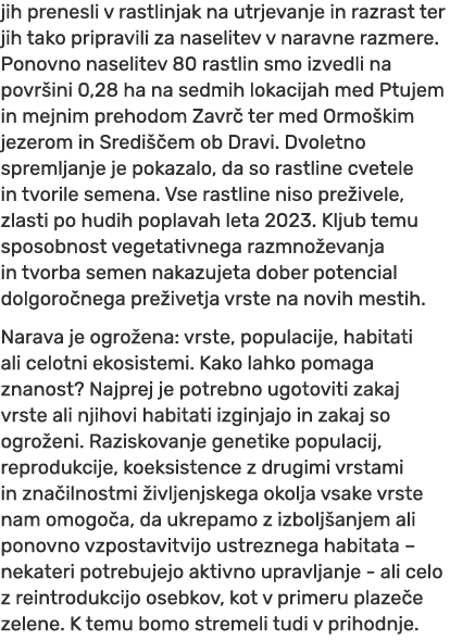 jih prenesli v rastlinjak na utrjevanje in razrast ter jih tako pripravili za naselitev v naravne razmere. Ponovno na...