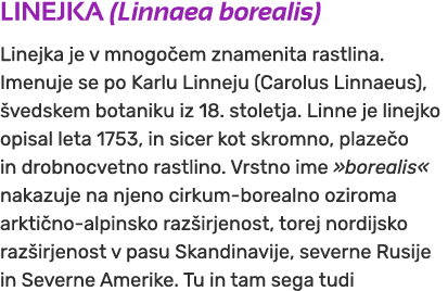 LINEJKA (Linnaea borealis) Linejka je v mnogo em znamenita rastlina. Imenuje se po Karlu Linneju (Carolus Linnaeus), ...