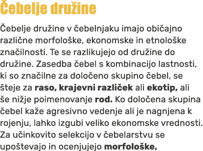  ebelje dru ine ebelje dru ine v  ebelnjaku imajo obi ajno razli ne morfolo ke, ekonomske in etnolo ke zna ilnosti. ...