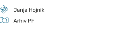 ￼,,Janja Hojnik ,,,,￼,,Arhiv PF ,,, ￼