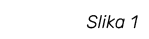 Slika 1