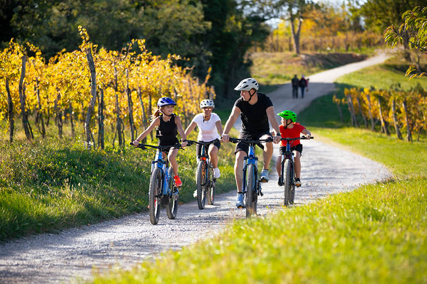 family, caucasian, four, mother, father, daughter, son, typical, path, vineyars, curvy, road, off-road, electric, bikes, bike, bycicle, ebike, valley, vipava, happy, tourism, tourists, enjoy, explore, activity, outdoor, fun, nature, autumn, fall, beautiful, environment, green, power, 
