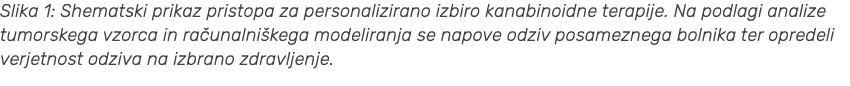Slika 1: Shematski prikaz pristopa za personalizirano izbiro kanabinoidne terapije. Na podlagi analize tumorskega vzo...